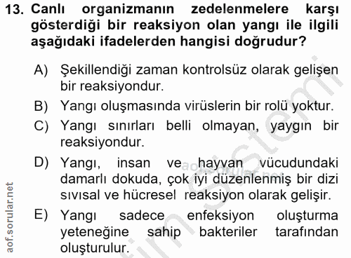 Soru 13