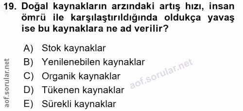 Soru 19