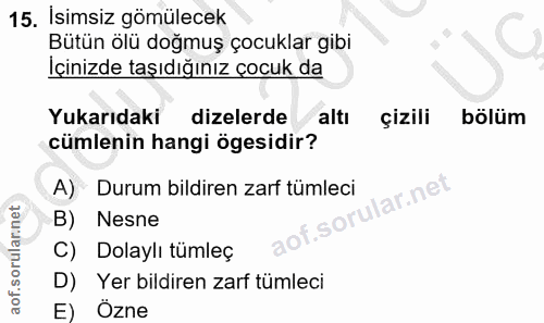 Soru 15