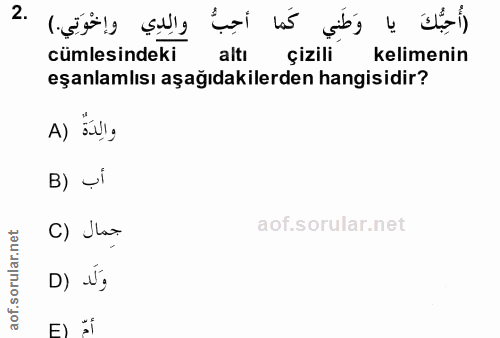 Soru 2
