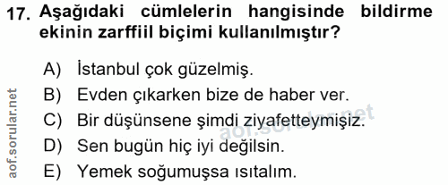 Soru 17