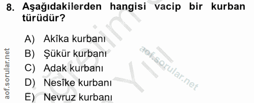 Soru 8