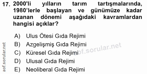 Soru 17