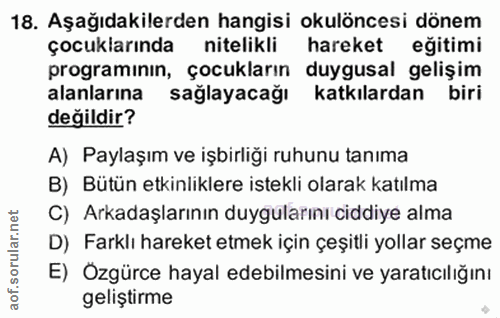 Soru 18