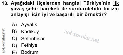 Soru 13