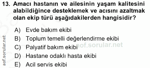 Soru 13