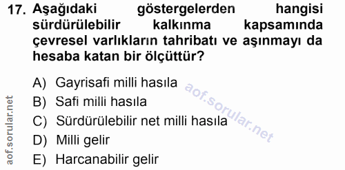 Soru 17