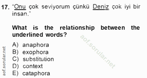 Soru 17