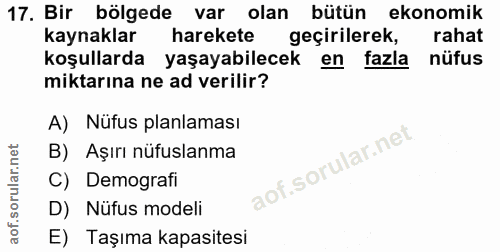 Soru 17