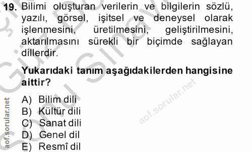 Soru 19
