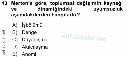 Soru 13
