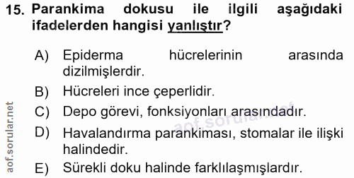 Soru 15