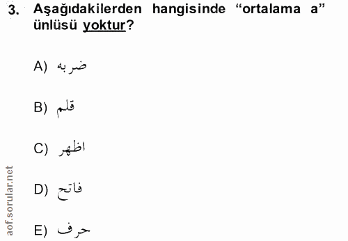 Soru 3