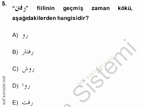 Soru 5
