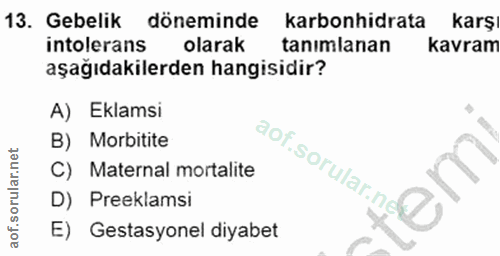 Soru 13