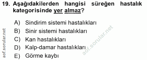 Soru 19