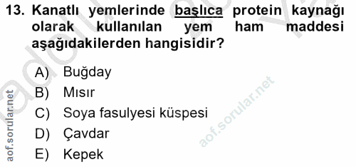 Soru 13