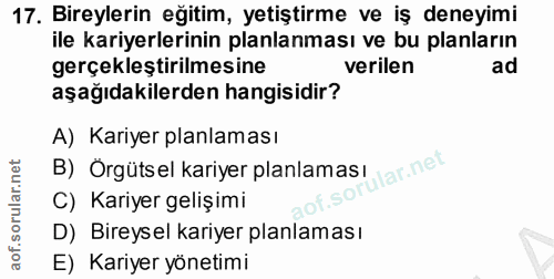 Soru 17