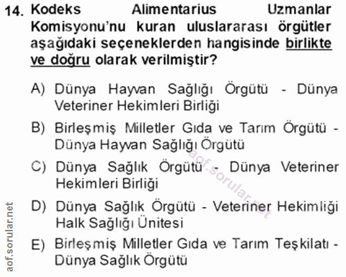 Soru 14