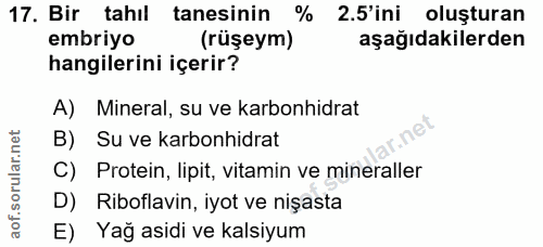 Soru 17