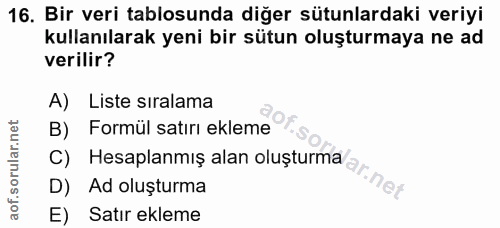 Soru 16