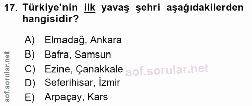 Soru 17