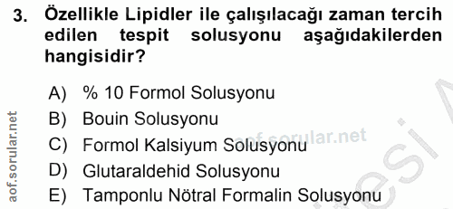 Soru 3