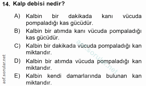 Soru 14
