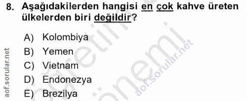 Soru 8