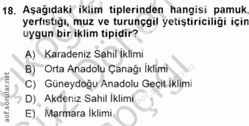 Soru 18