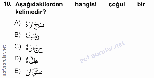 Soru 10