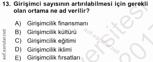 Soru 13