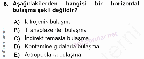 Soru 6
