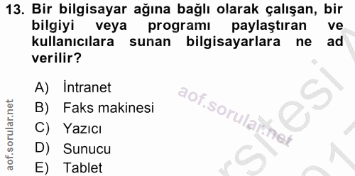 Soru 13