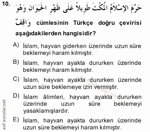 Soru 10