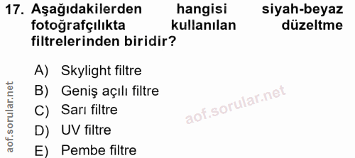 Soru 17