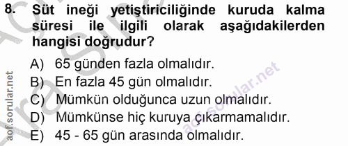 Soru 8