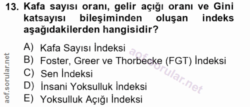 Soru 13