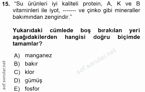 Soru 15