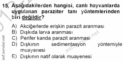 Soru 15