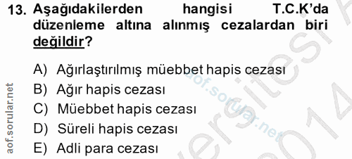 Soru 13