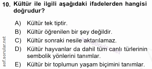 Soru 10