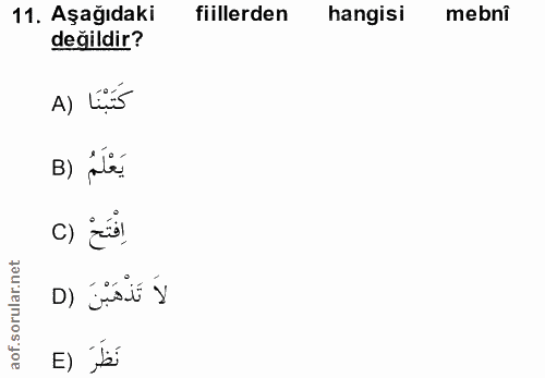 Soru 11