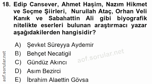 Soru 18