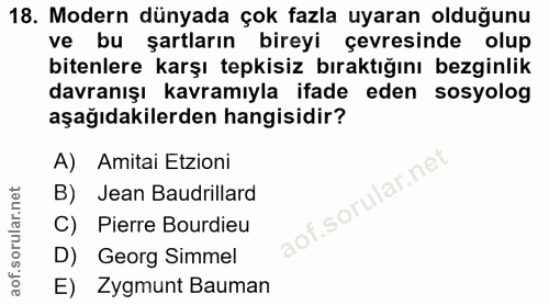 Soru 18