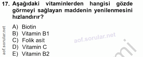 Soru 17