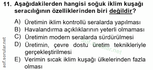Soru 11