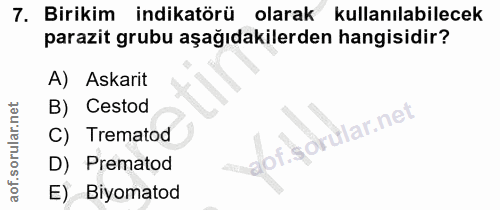 Soru 7