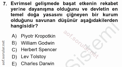 Soru 7