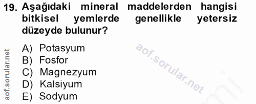 Soru 19